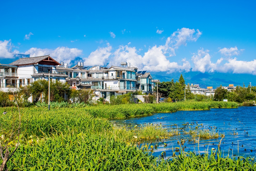 1668232856703237.jpg P-10305166-10280780.jpg